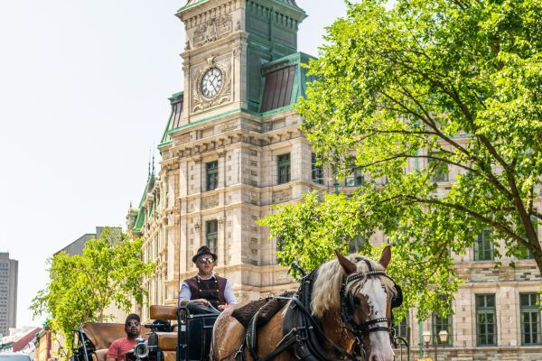 Quebec: El Alma de Europa en el Corazón de Norteamérica Una carroza con turistas frente a un edificio de arquitectura europea en Quebec, ilustrando su esencia en Norteamérica.