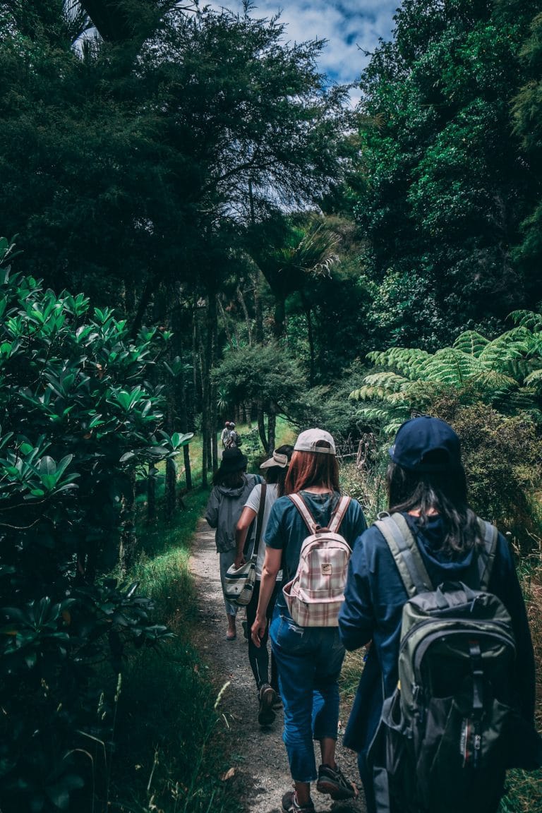 Grupo de mochileros caminando en una jungla que ilustra el trekking en Brasil.