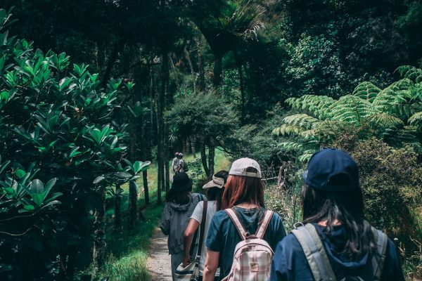 Trekking en Brasil: una experiencia única y diversa Trekking en Brasil: una experiencia única y diversa