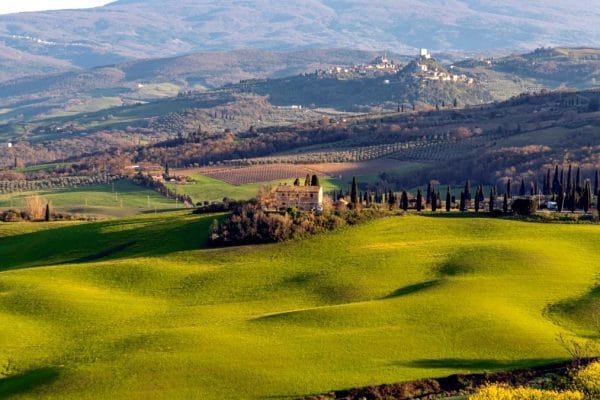 El Encanto Oculto de la Toscana: Un Viaje por la Cultura y la Gastronomía Panorámica de colinas llenas de viñas y en el medio de la imagen una casona tipica de la Toscana