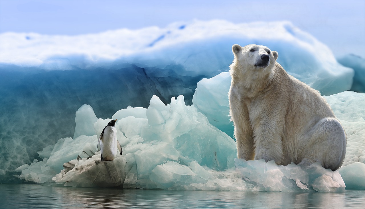Oso polar solitario sobre una placa de hielo a la deriva en el Ártico noruego (Svalbard).
