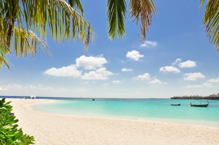 Bahía tropical en Maldivas con palmeras, arena blanca y embarcaciones locales ancladas en aguas turquesas.