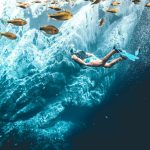 Submarinista en equipo de scuba rodeado de peces de colores en las aguas cristalinas de Ilha Grande, Brasil