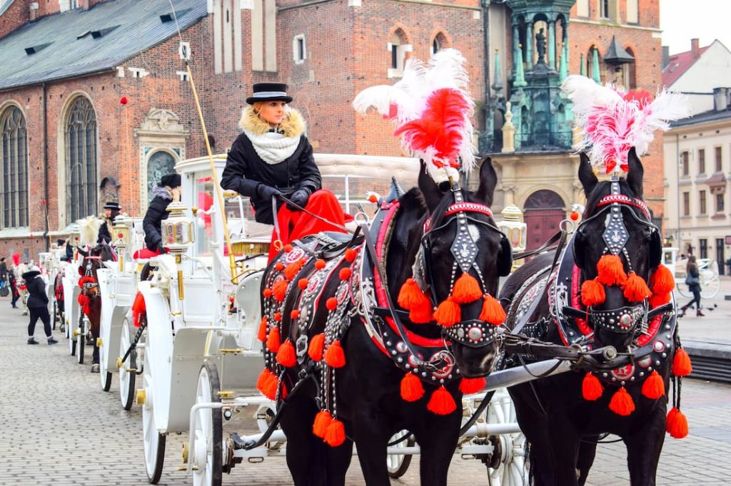 Fila de carrozas blancas con caballos adornados con pompones rojos y cochero con sombrero típico en Cracovia