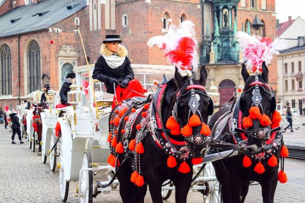 Fila de carrozas blancas con caballos adornados con pompones rojos y cochero con sombrero típico en Cracovia