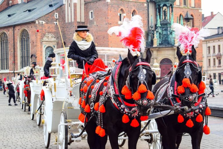 Fila de carrozas blancas con caballos adornados con pompones rojos y cochero con sombrero típico en Cracovia
