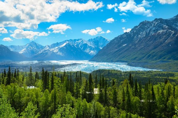 Vista panorámica de un gran lago de Alaska rodeado de bosques y montañas nevadas reflejadas en el agua