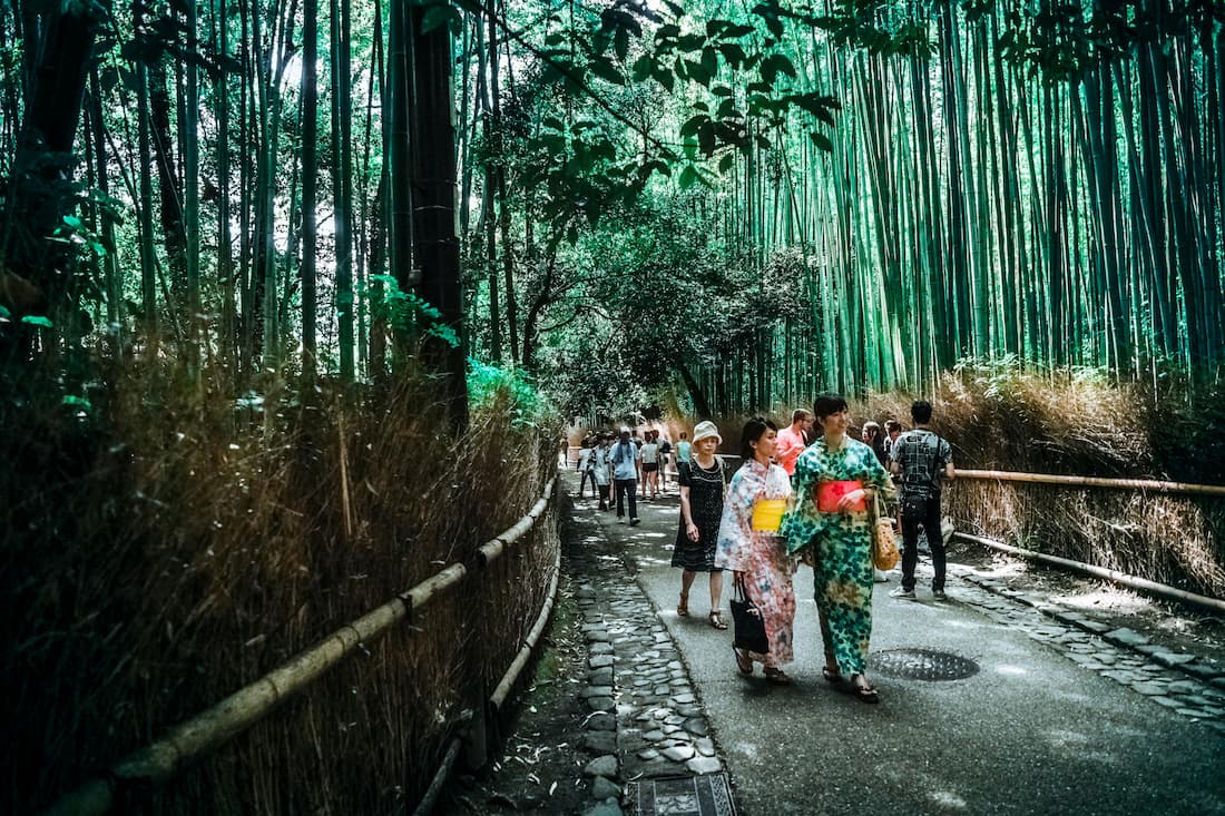 Sendero del Bosque de Bambú de Arashiyama en Kioto con la luz verde filtrada entre los tallos al amanecer