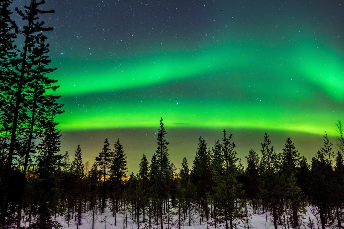 Aurora boreal verde sobre bosque de abedules nevados en Laponia Finlandia cielo nocturno ártico