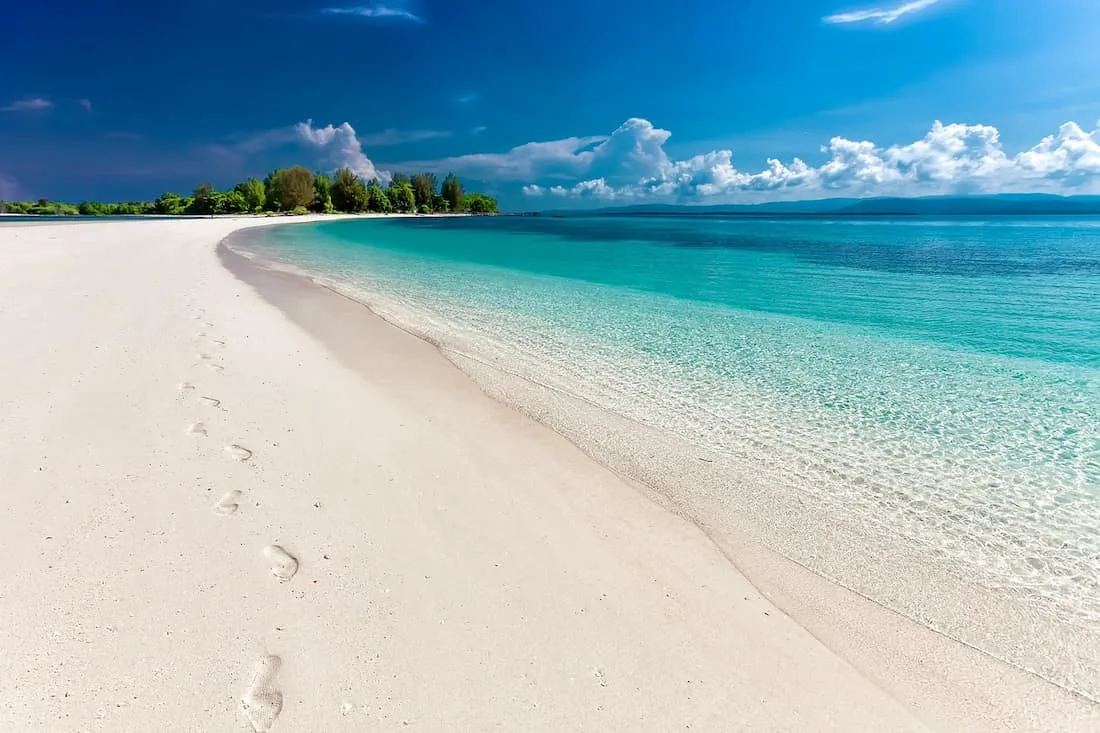 Larga playa dorada desierta con agua transparente y árboles al fondo playas de lujo en Europa