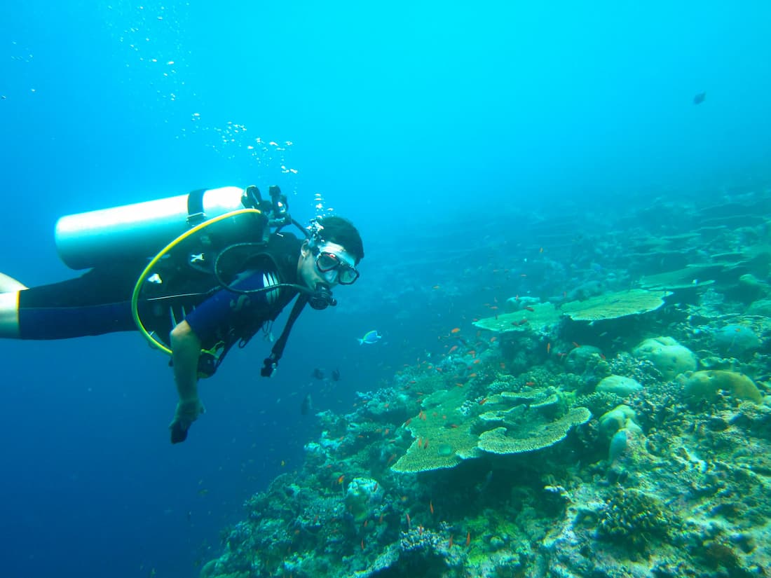 Buceador explorando arrecife de coral con peces tropicales en aguas azules de Maldivas luna de miel de lujo