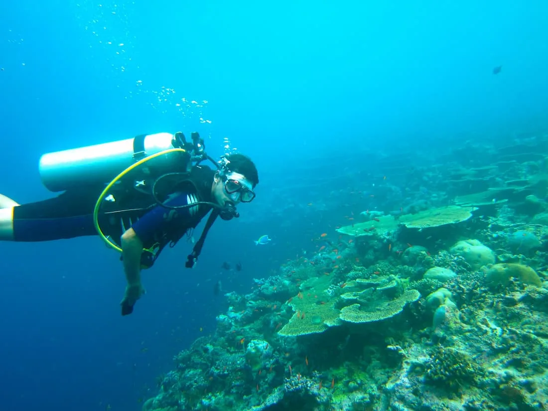 Buceador explorando arrecife de coral con peces tropicales en aguas azules de Maldivas luna de miel de lujo