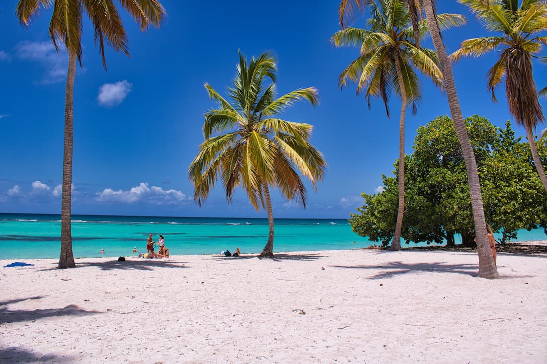 Playa de arena blanca con palmeras y agua turquesa bajo cielo azul en el Caribe de Roatán Honduras Islas de la Bahía