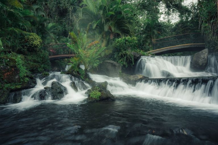 Cascada de aguas blancas con puentes de madera rodeada de selva tropical en Costa Rica ecoturismo de lujo naturaleza