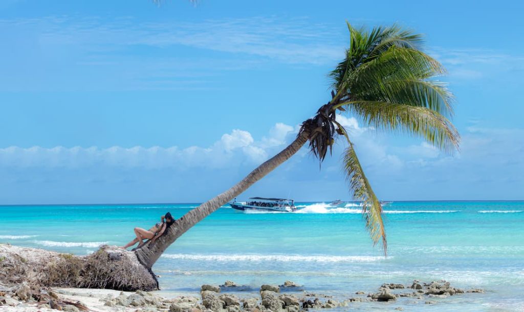 Palmera inclinada sobre playa de arena blanca y mar turquesa en Punta Cana, República Dominicana