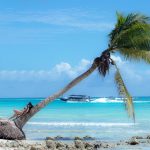 Palmera inclinada sobre playa de arena blanca y mar turquesa en Punta Cana, República Dominicana