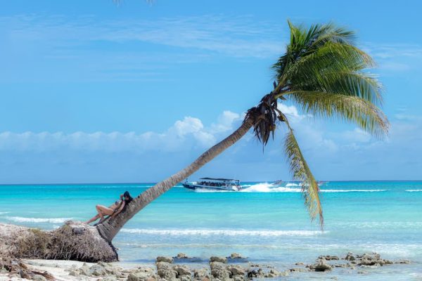 Palmera inclinada sobre playa de arena blanca y mar turquesa en Punta Cana, República Dominicana