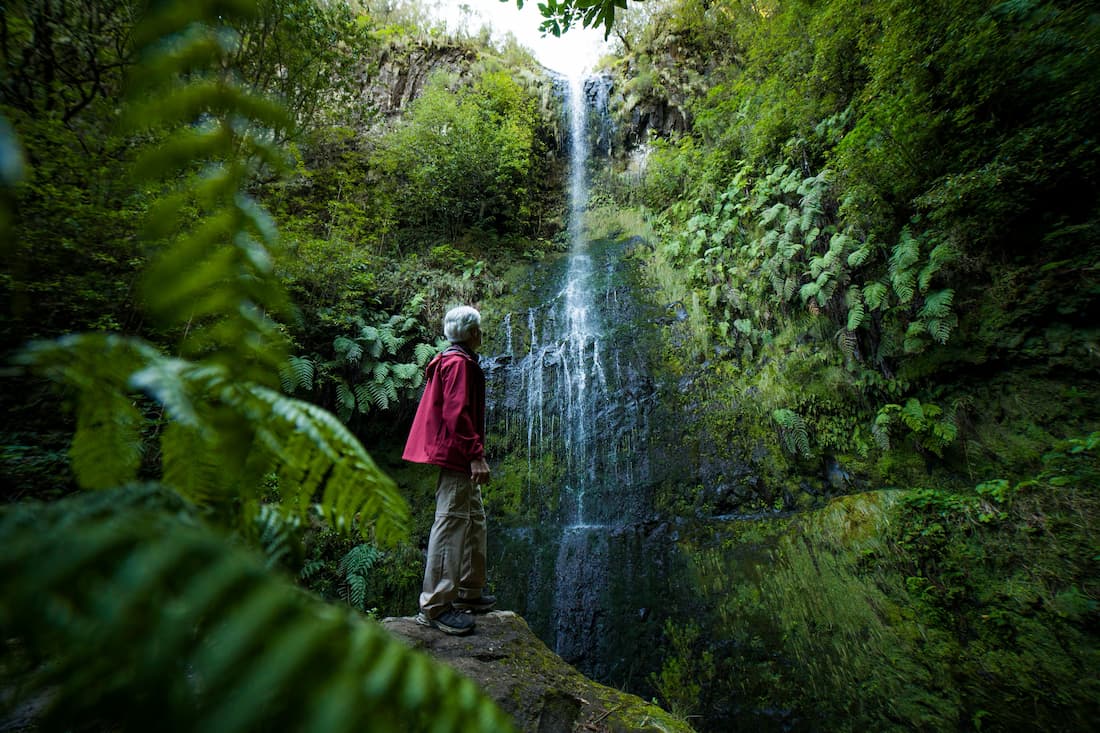 Cascada en la isla de Flores Azores con paisaje verde volcánico exuberante y océano atlántico al fondo